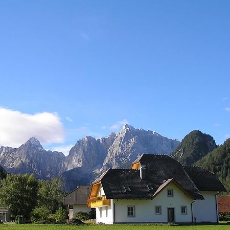 Apartmaji Mlinar Кранська Гора Екстер'єр фото
